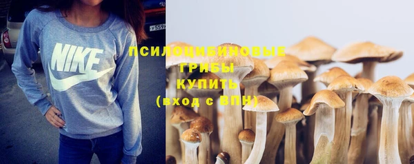 таблы Богородск