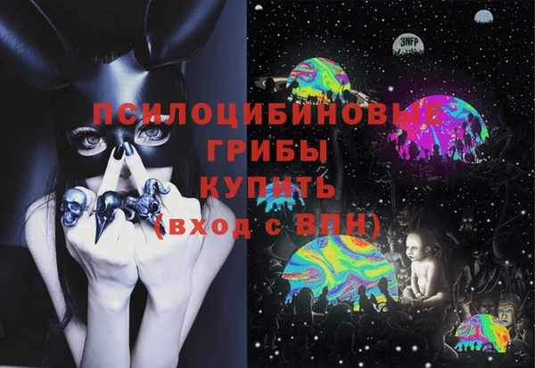 mdma Богородицк