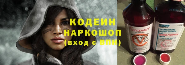 ПСИЛОЦИБИНОВЫЕ ГРИБЫ Богданович