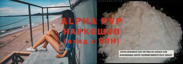 ПСИЛОЦИБИНОВЫЕ ГРИБЫ Богданович