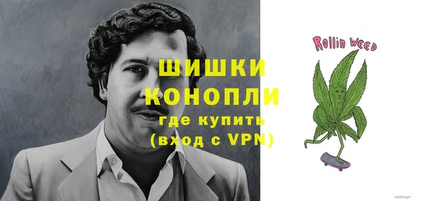 ПСИЛОЦИБИНОВЫЕ ГРИБЫ Богданович