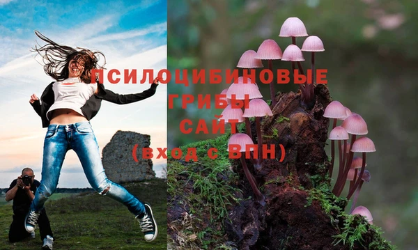 таблы Богородск