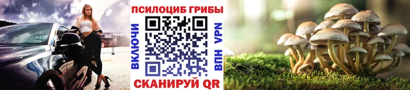 Псилоцибиновые грибы Cubensis Бугуруслан